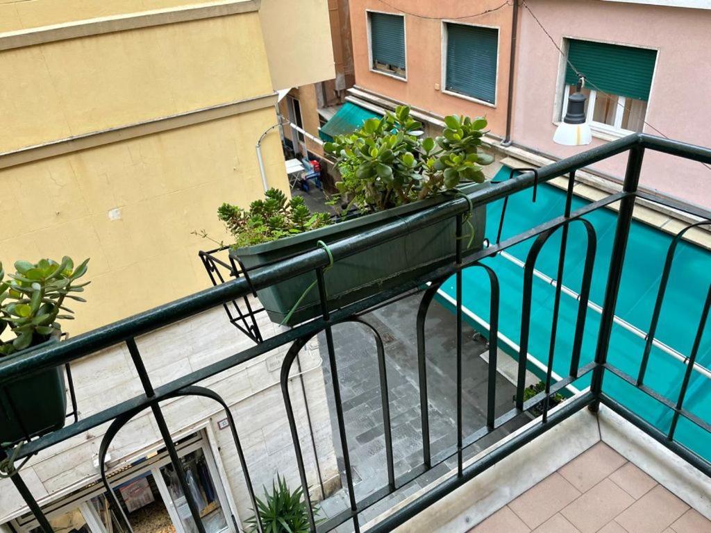Italia 22 *